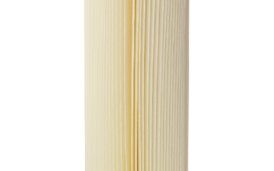 10″ X 4 1/2″ Pleated Particle Filter