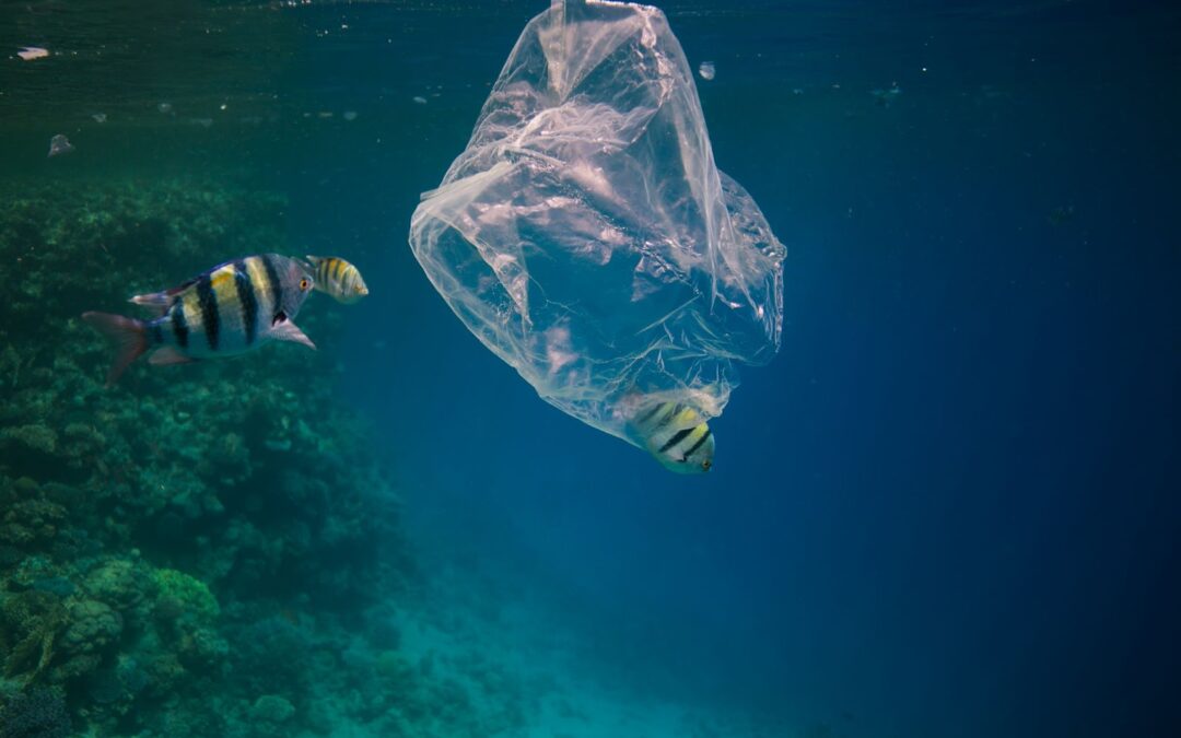 Beyond Recycling: Finding Sustainable Solutions in the Superyacht Industry